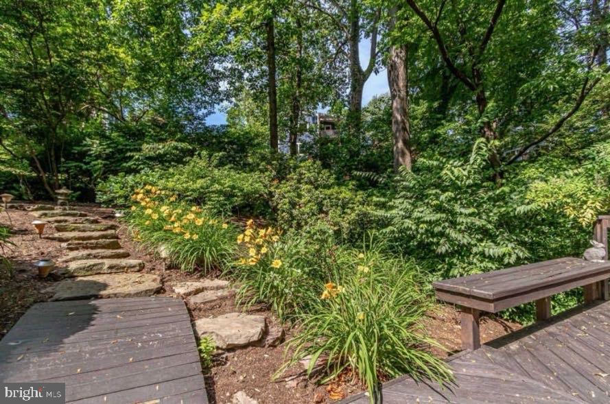 5885 9th Road North Arlington, VA 22205 - Photo 32 of 48 Lush garden path with vibrant blooms.