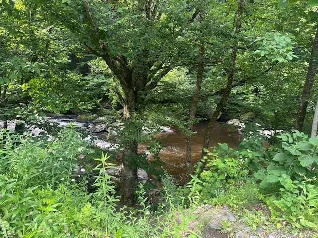 $375,000 | 1430 Back Road, Belvidere, VT 05442