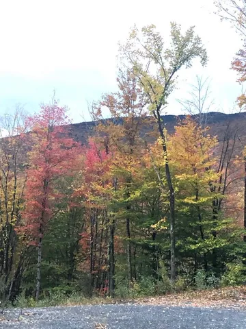 $375,000 | 1430 Back Road, Belvidere, VT 05442