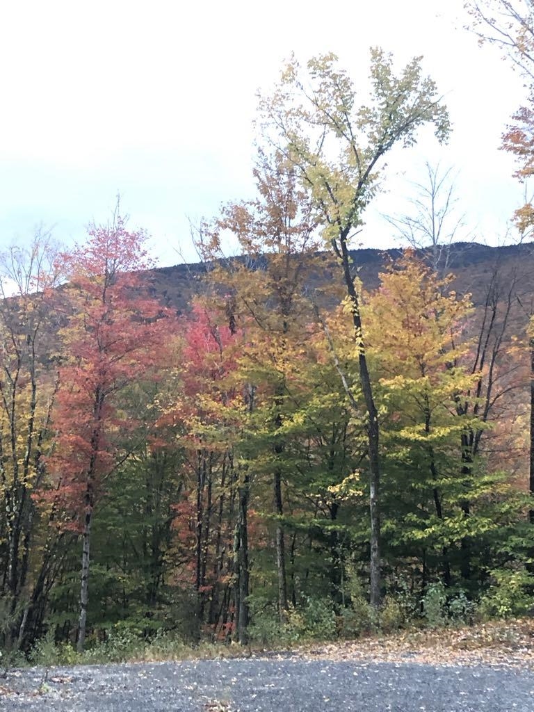 1430 Back Road Belvidere, VT 05442 - Photo 19 of 28