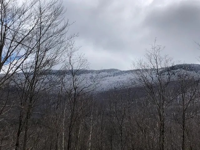 $375,000 | 1430 Back Road, Belvidere, VT 05442