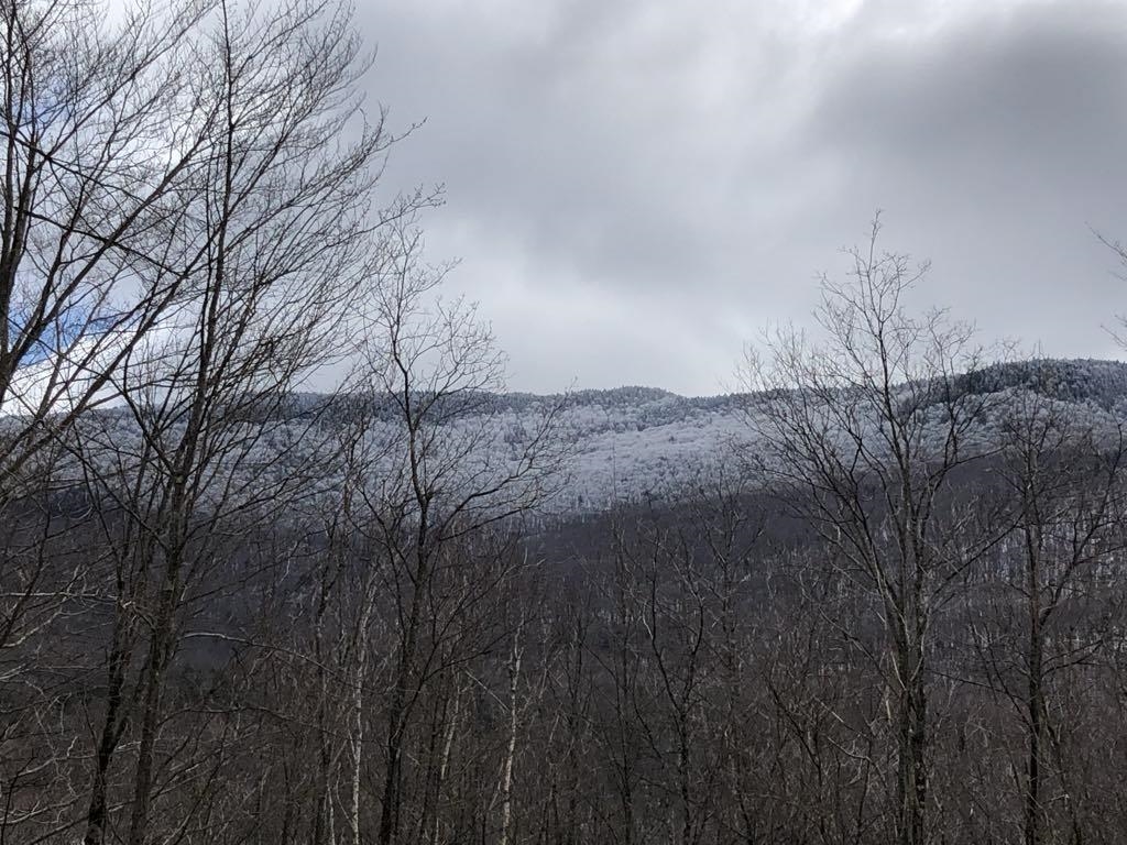 1430 Back Road Belvidere, VT 05442 - Photo 21 of 28