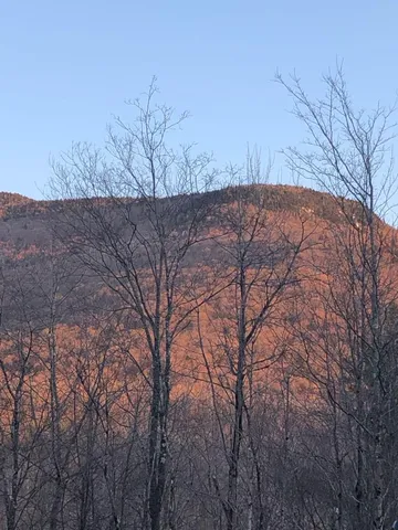 $375,000 | 1430 Back Road, Belvidere, VT 05442