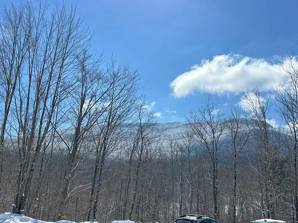 $375,000 | 1430 Back Road, Belvidere, VT 05442