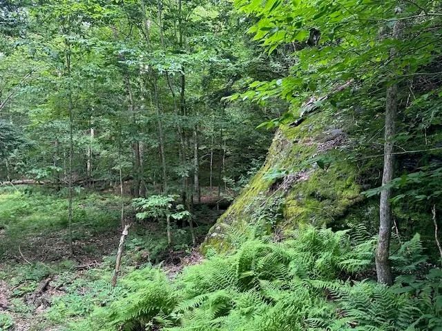 $375,000 | 1430 Back Road, Belvidere, VT 05442