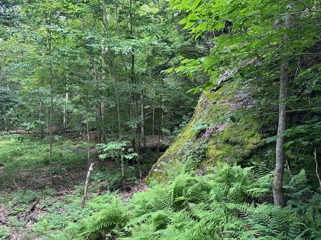 1430 Back Road Belvidere, VT 05442 - Photo 26 of 28