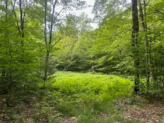 $375,000 | 1430 Back Road, Belvidere, VT 05442