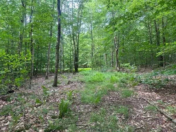 $375,000 | 1430 Back Road, Belvidere, VT 05442