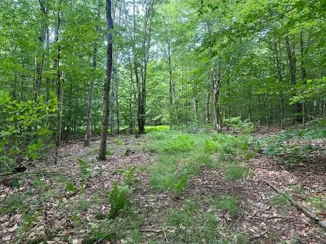 $375,000 | 1430 Back Road, Belvidere, VT 05442