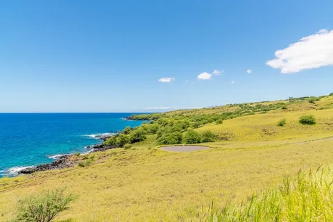 a sign board with a tree in the background