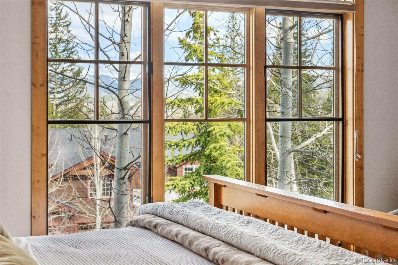 721 Willowbrook Road Silverthorne, CO 80498 - Photo 19 of 50 Gallery Image 19