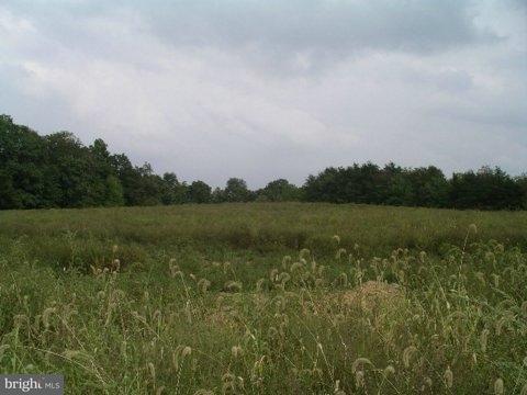 0 Suedberg Road, Unit 1 Pine Grove, PA 17963 - Photo 1 of 6 Gallery Image 1