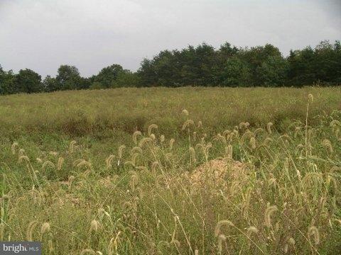 0 Suedberg Road, Unit 1 Pine Grove, PA 17963 - Photo 4 of 6 Gallery Image 4