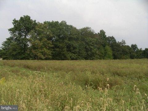0 Suedberg Road, Unit 1 Pine Grove, PA 17963 - Photo 6 of 6 Gallery Image 6