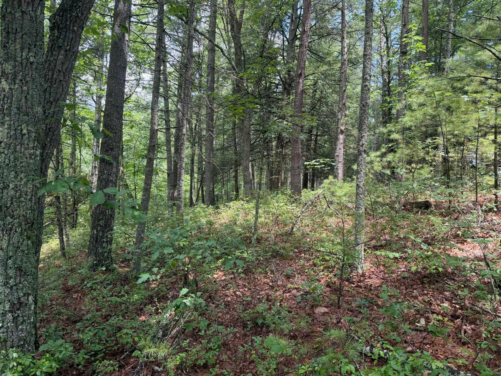 Tbd Short Ridge Drive Bland, VA 24315 - Photo 114 of 125 Gallery Image 114