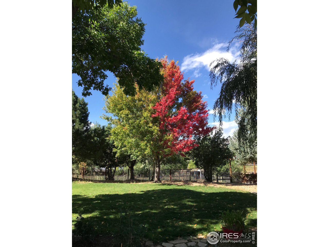 4963 Kelso Road Boulder, CO 80301 - Photo 38 of 50