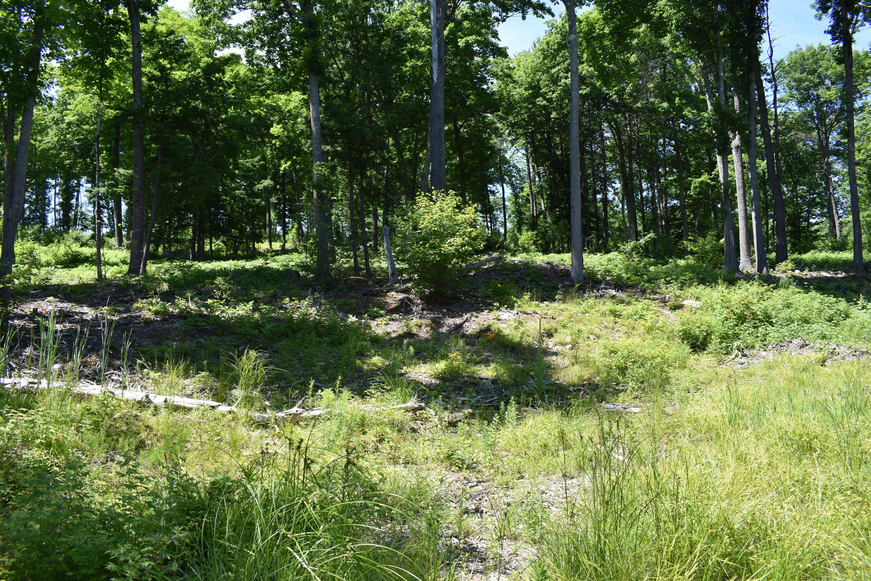 Lot 13 Lovejoy Pond Road Wayne, ME 04284 - Photo 6 of 13 DSC_0931
