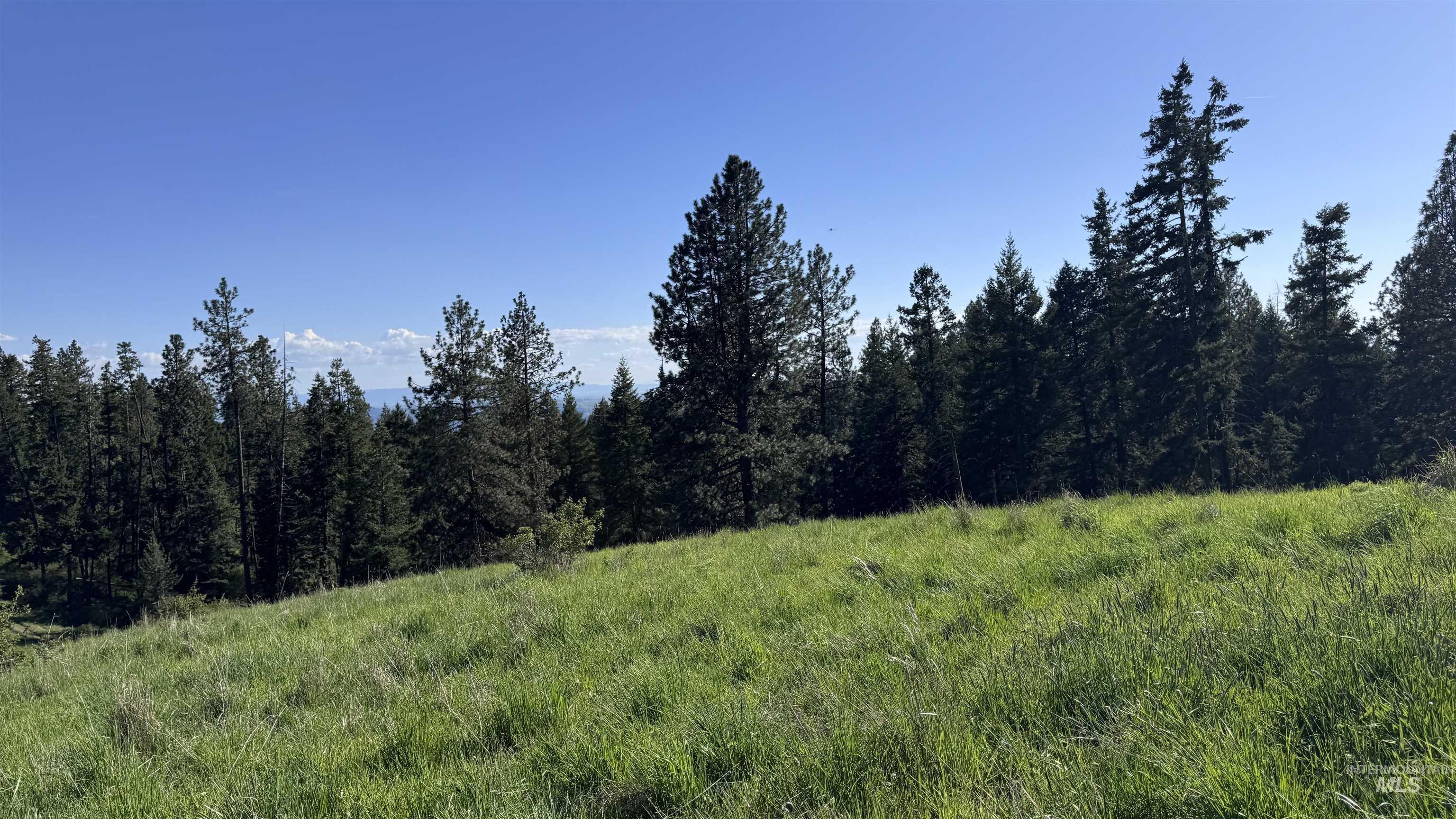 Tbd Harrisburg Road Kamiah, ID 83536 - Photo 21 of 50