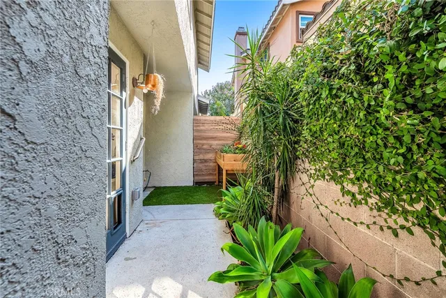 a view of a back yard with plants