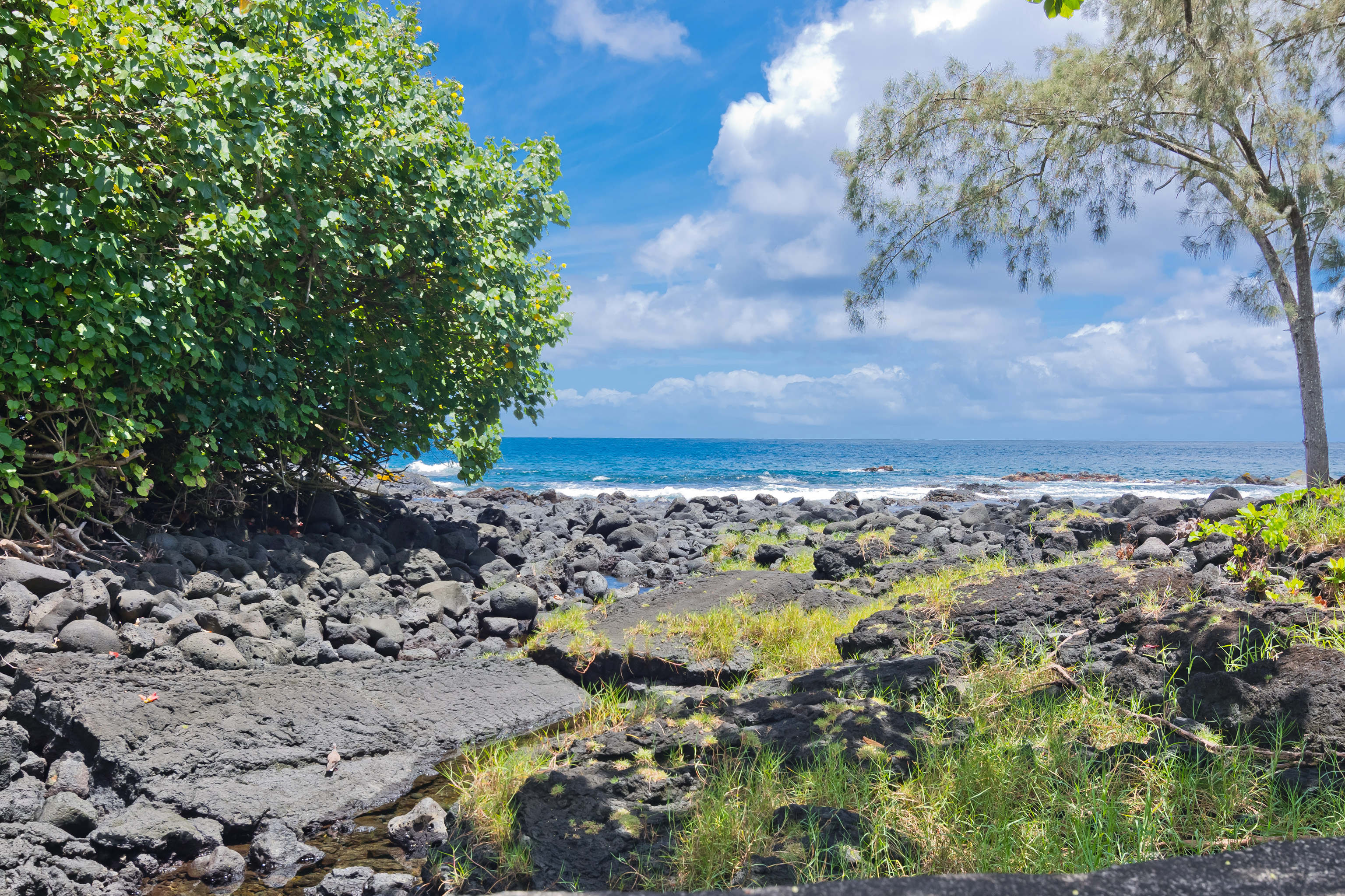 106 B Nene Street Hilo, HI 96720 - Photo 14 of 15 a view of a pathway with a yard
