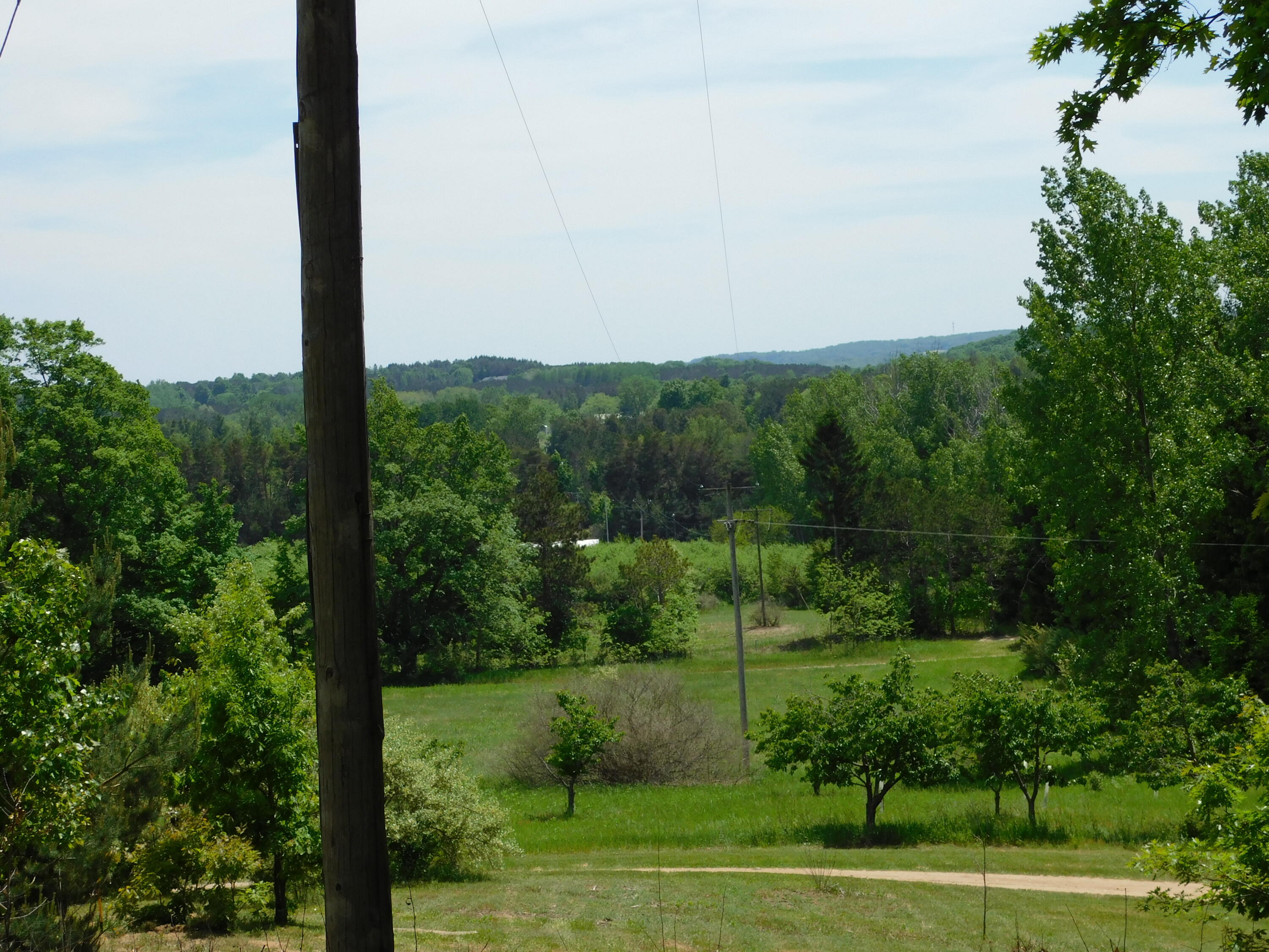 10653 Milarch Road Bear Lake, MI 49614 - Photo 11 of 86 DSCN2054