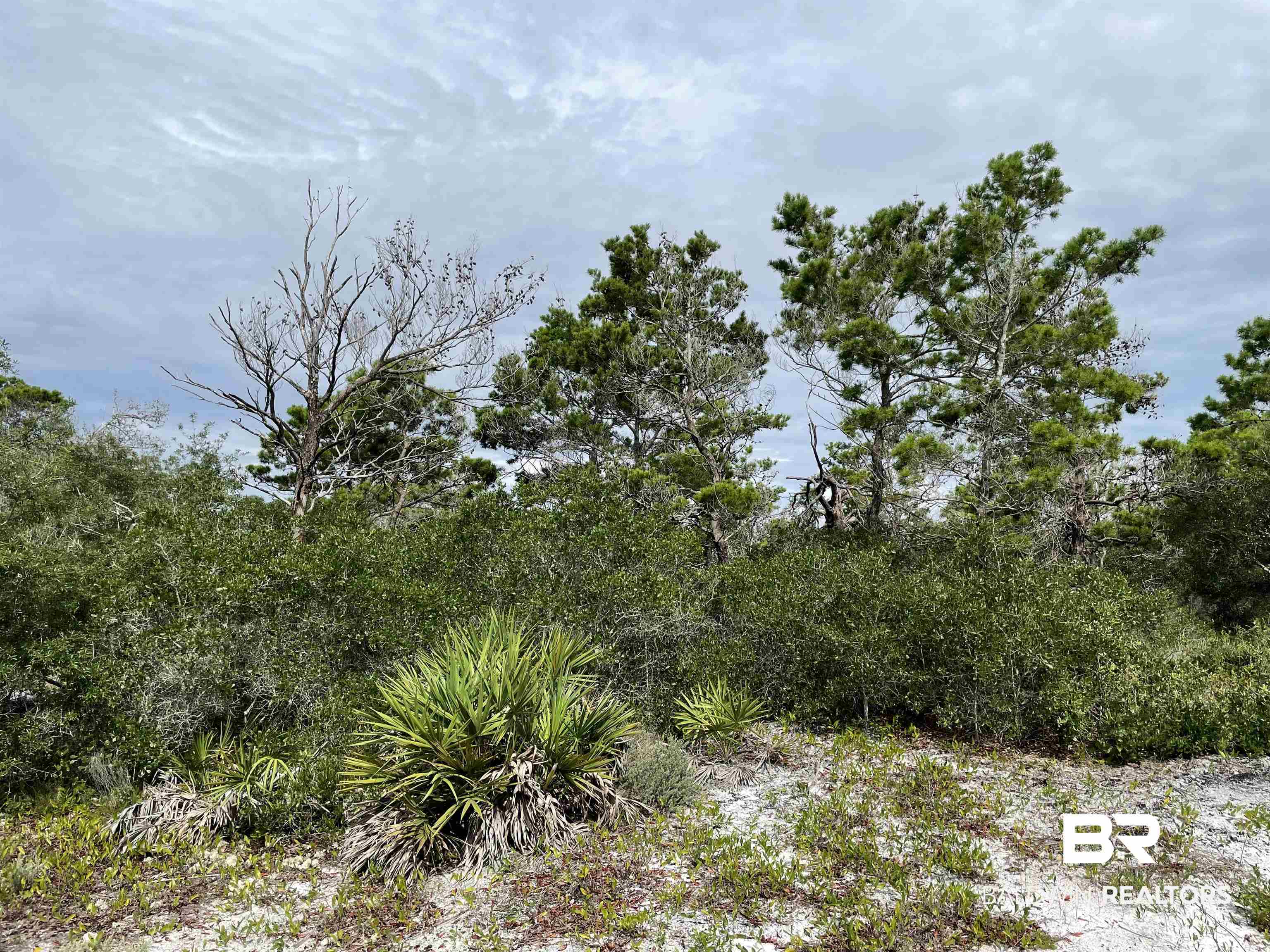 Lot 140-0 River Road Orange Beach, AL 36561 - Photo 3 of 4