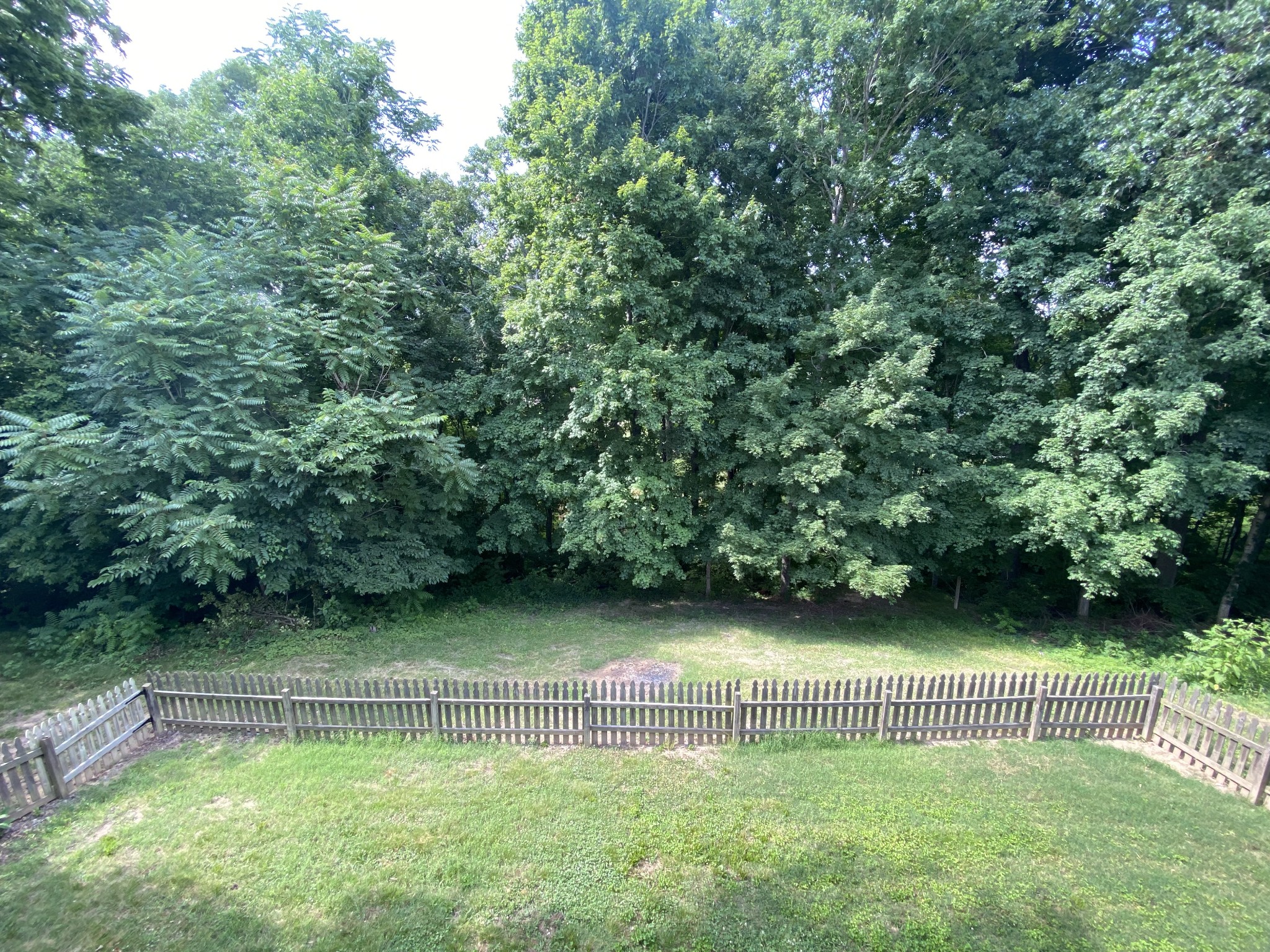 944 Pebble Beach Circle Mount Juliet, TN 37122 - Photo 16 of 19 a view of a yard with a bench and some trees