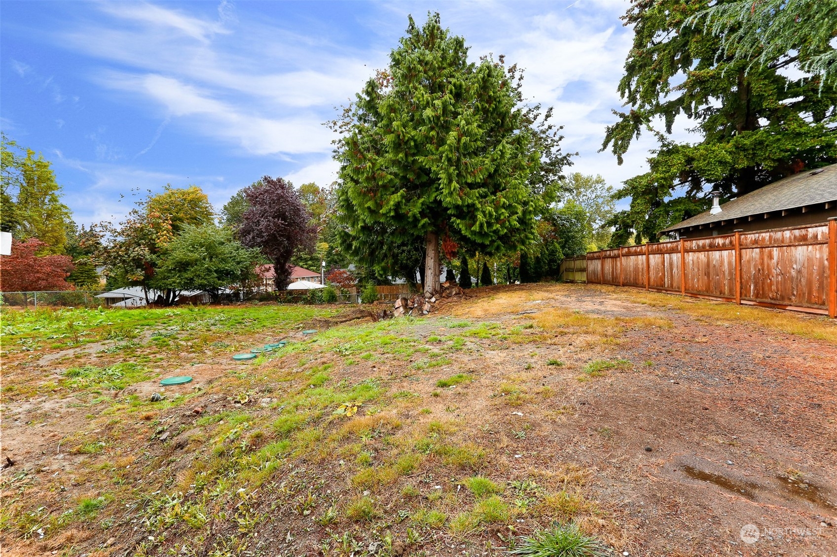 2124 High Avenue Northeast Renton, WA 98056 - Photo 36 of 37 a view of a backyard with large trees