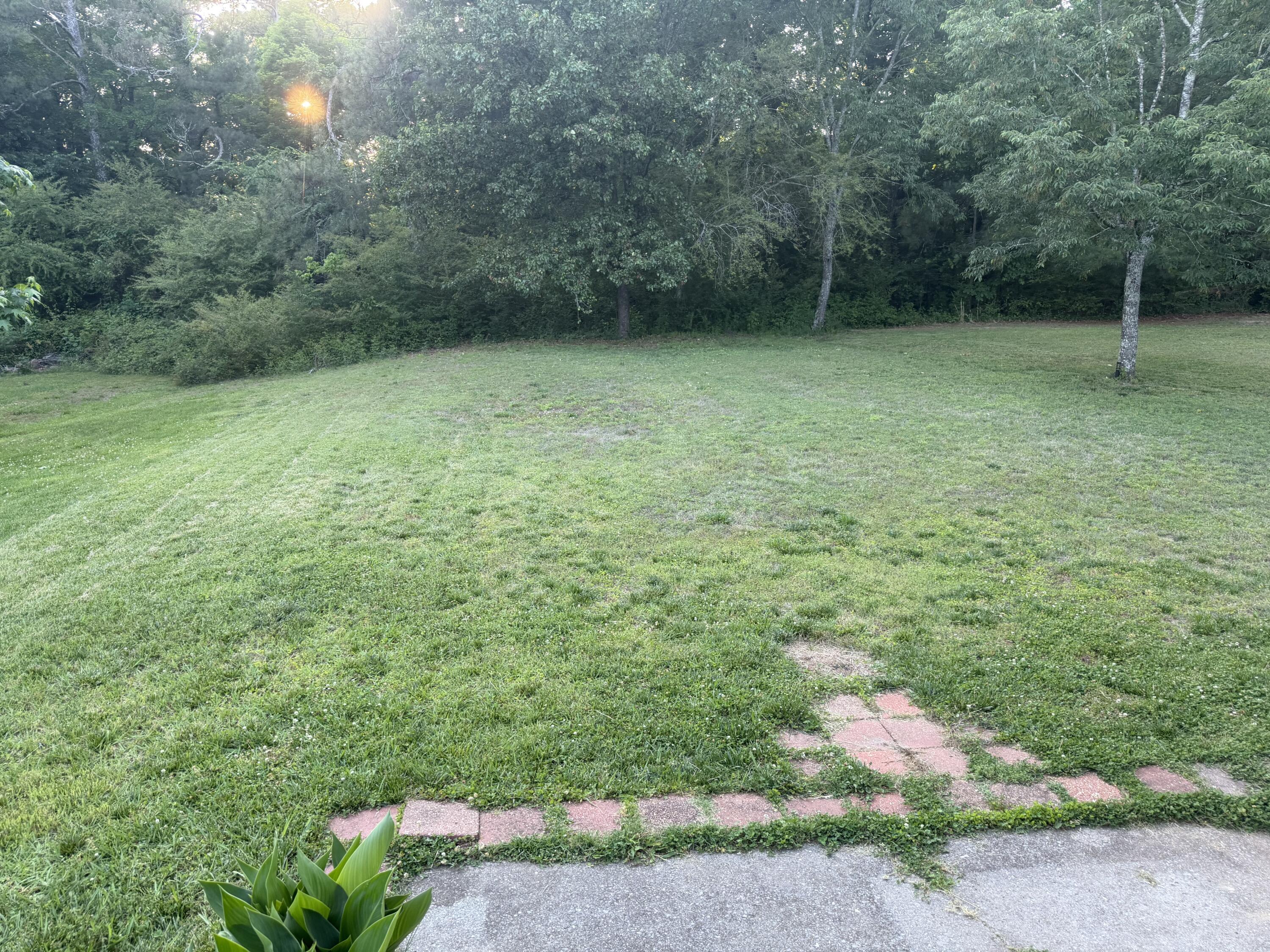 5025 Bess Moore Road, Unit A Apison, TN 37302 - Photo 3 of 17 IMG_5378