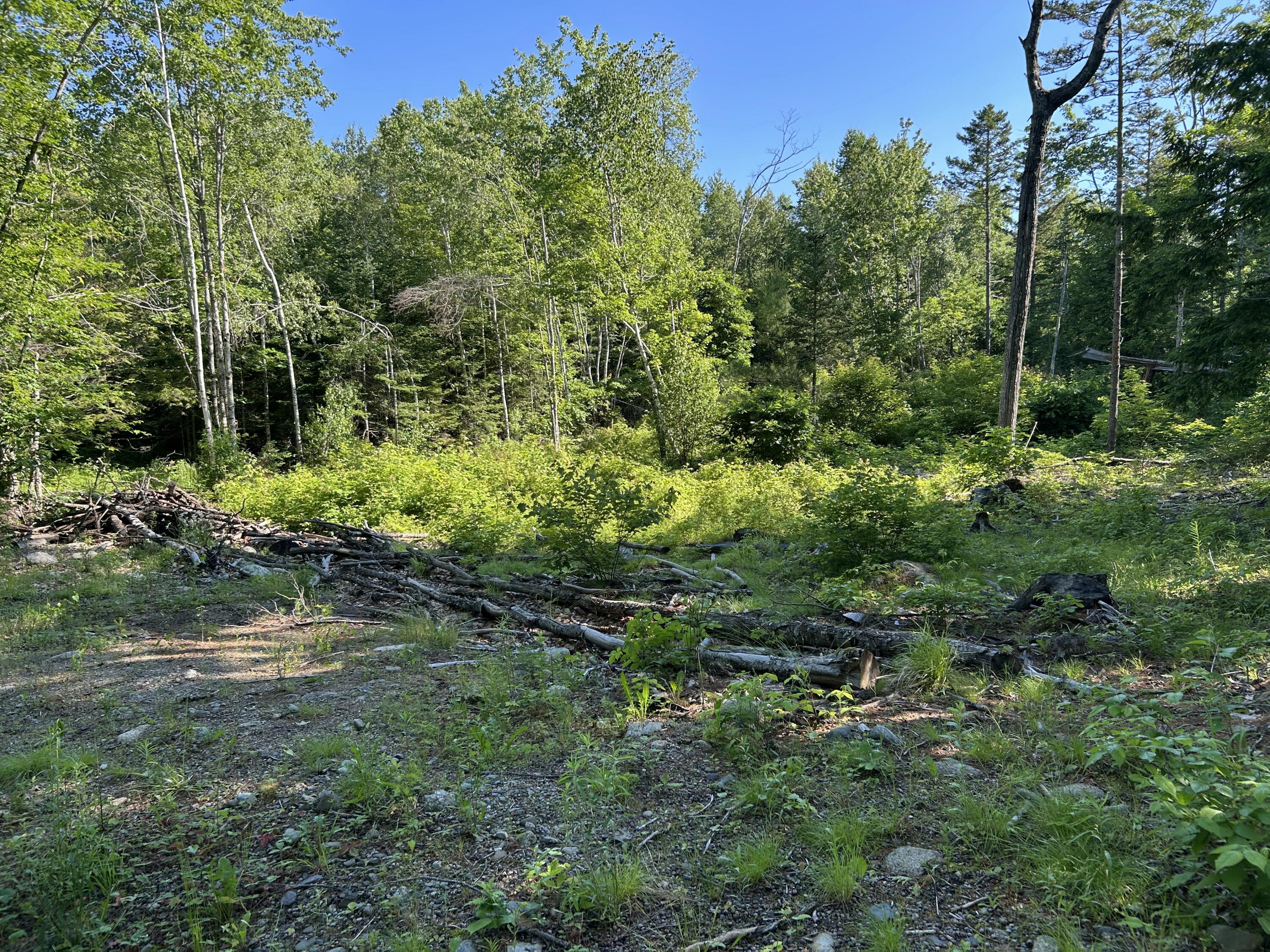 M8-b40l3-1a Hamm Road Frankfort, ME 04438 - Photo 20 of 25 IMG_9002