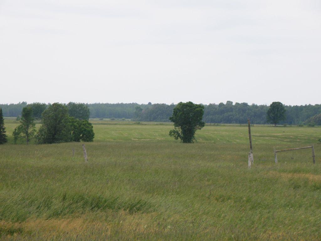 12248 South Bound Road Dafter, MI 49724 - Photo 20 of 61 Gallery Image 20