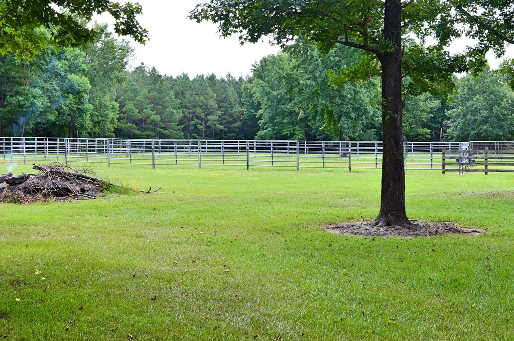 160 Lloyd Ladner Road Lumberton, MS 39455 - Photo 16 of 50 Photo 16