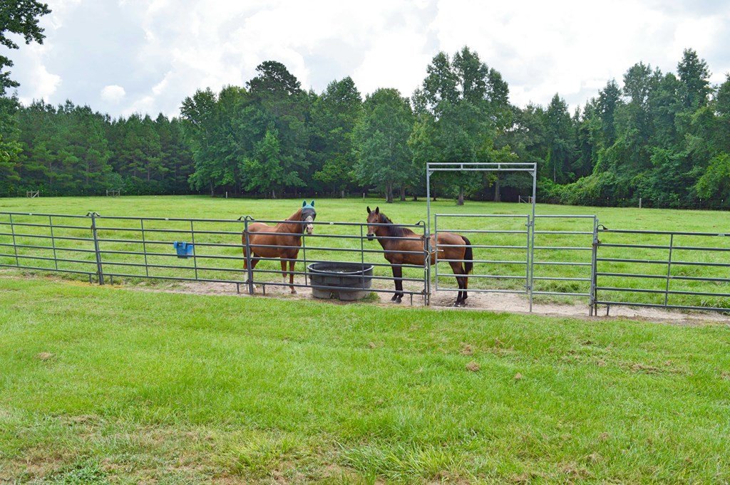 160 Lloyd Ladner Road Lumberton, MS 39455 - Photo 19 of 50 Photo 19