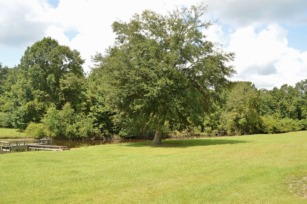 160 Lloyd Ladner Road Lumberton, MS 39455 - Photo 32 of 50 Photo 32