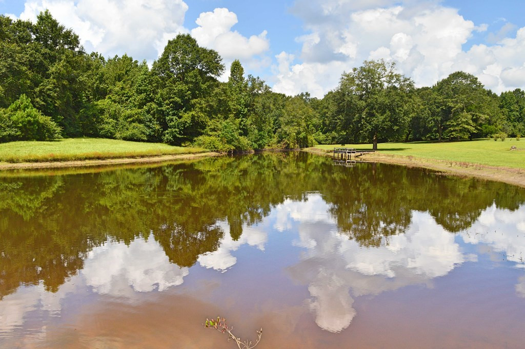 160 Lloyd Ladner Road Lumberton, MS 39455 - Photo 33 of 50 Photo 33