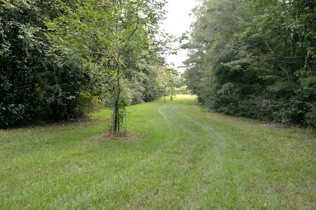 160 Lloyd Ladner Road Lumberton, MS 39455 - Photo 36 of 50 Photo 36