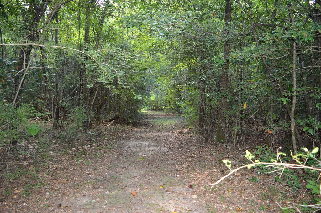 160 Lloyd Ladner Road Lumberton, MS 39455 - Photo 37 of 50 Photo 37