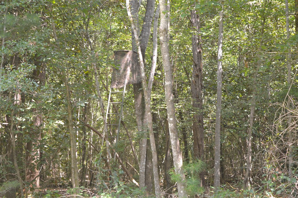 160 Lloyd Ladner Road Lumberton, MS 39455 - Photo 38 of 50 Photo 38