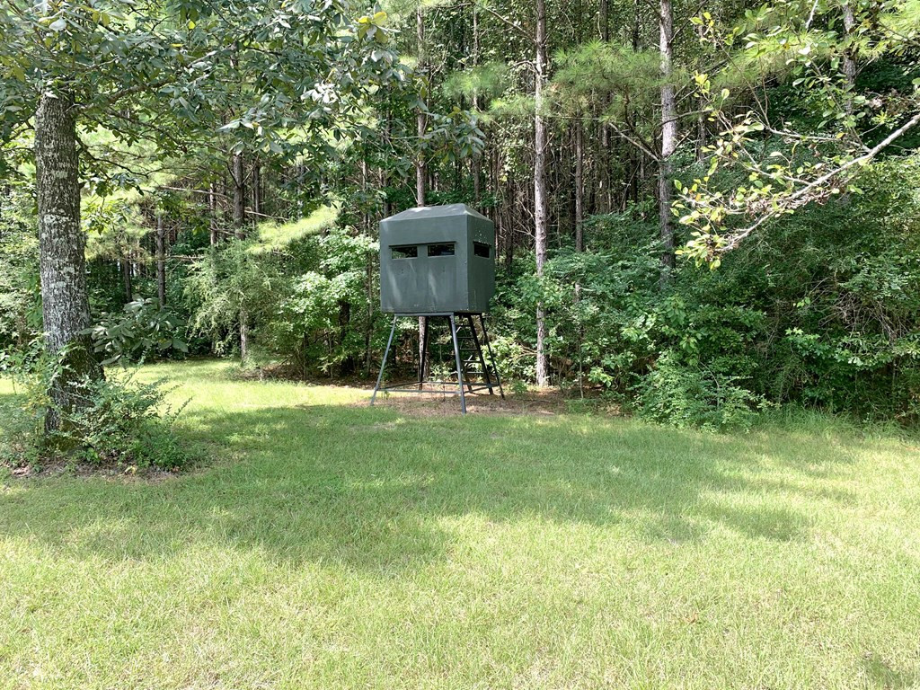 160 Lloyd Ladner Road Lumberton, MS 39455 - Photo 41 of 50 Photo 41