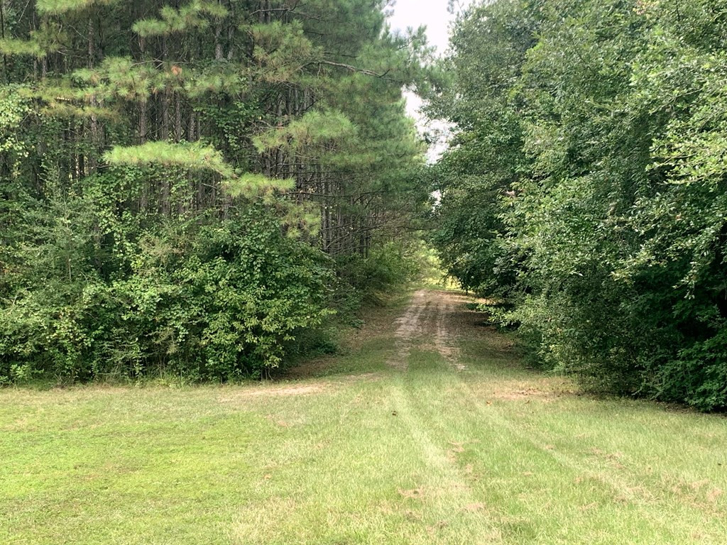160 Lloyd Ladner Road Lumberton, MS 39455 - Photo 43 of 50 Photo 43