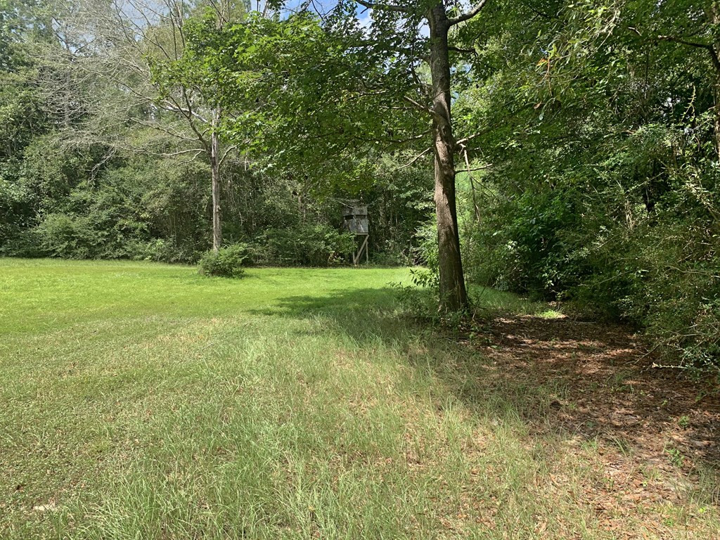 160 Lloyd Ladner Road Lumberton, MS 39455 - Photo 44 of 50 Photo 44