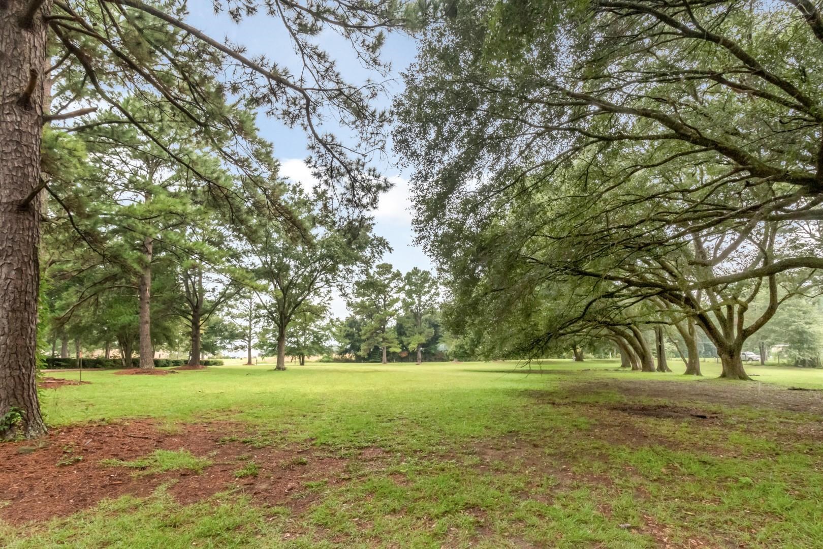 19108 Rada Road Silverhill, AL 36576 - Photo 7 of 11 Yard