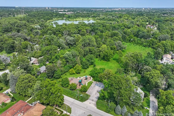 a view of a green field with lots of bushes