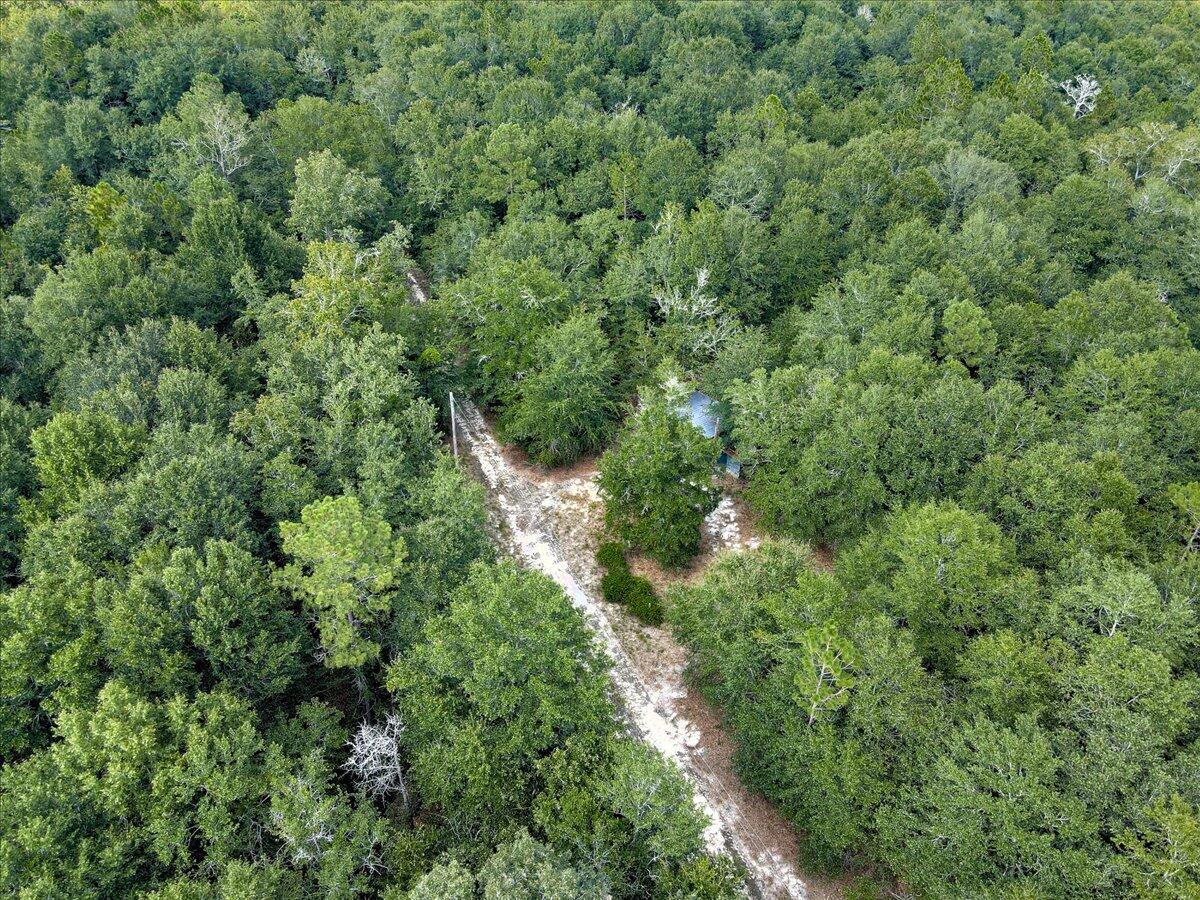 0 Millers Pond Road, Unit 4 Salley, SC 29137 - Photo 14 of 18