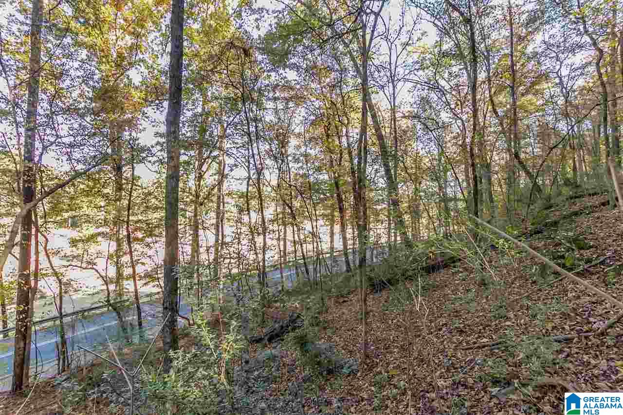 3385 Overbrook Road, Unit 109 Birmingham, AL 35213 - Photo 27 of 36