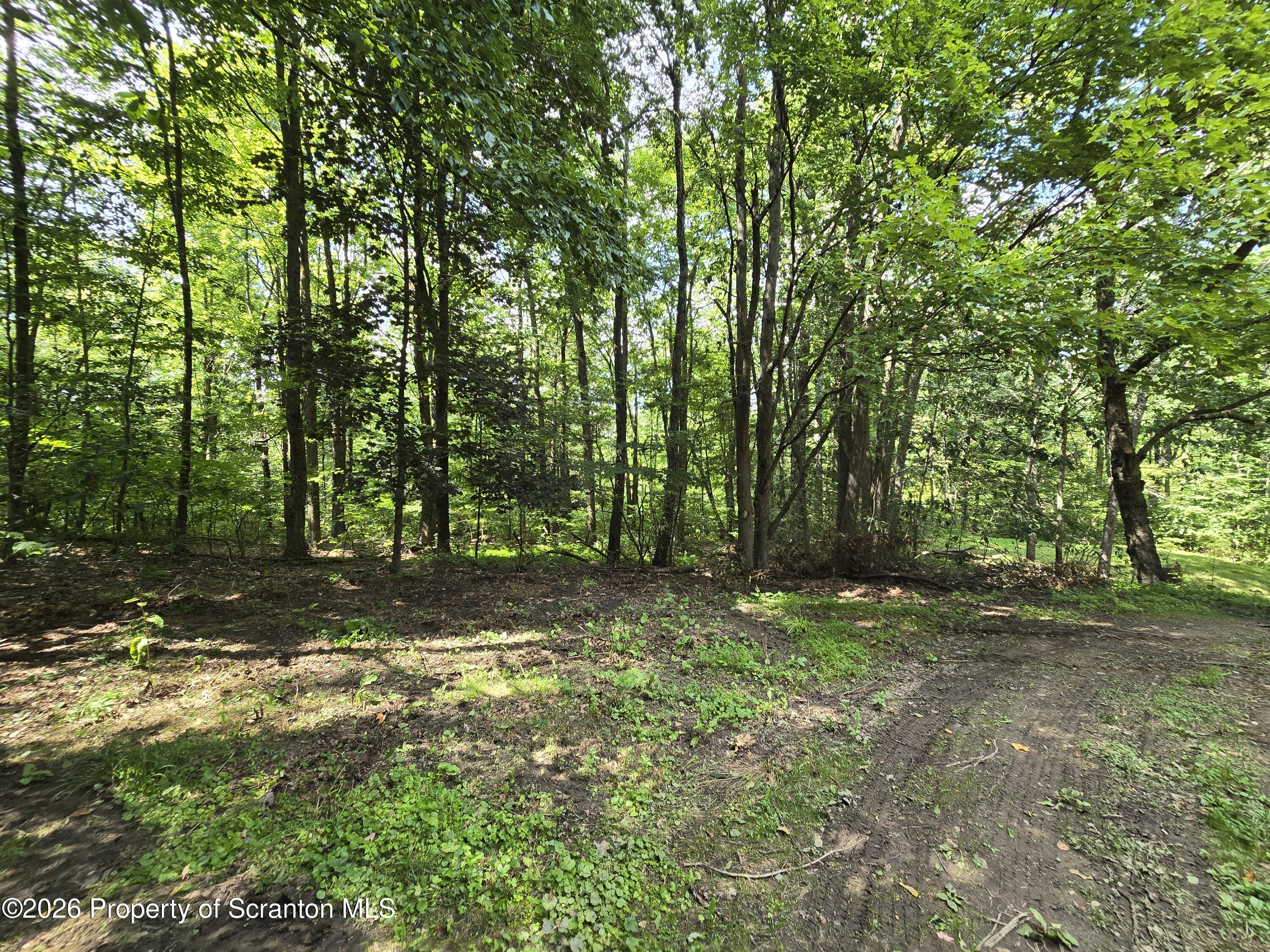 714 Downs Road Susquehanna, PA 18847 - Photo 38 of 39 20260814_144153