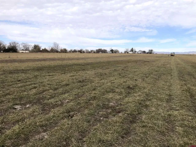 a view of an ocean and beach