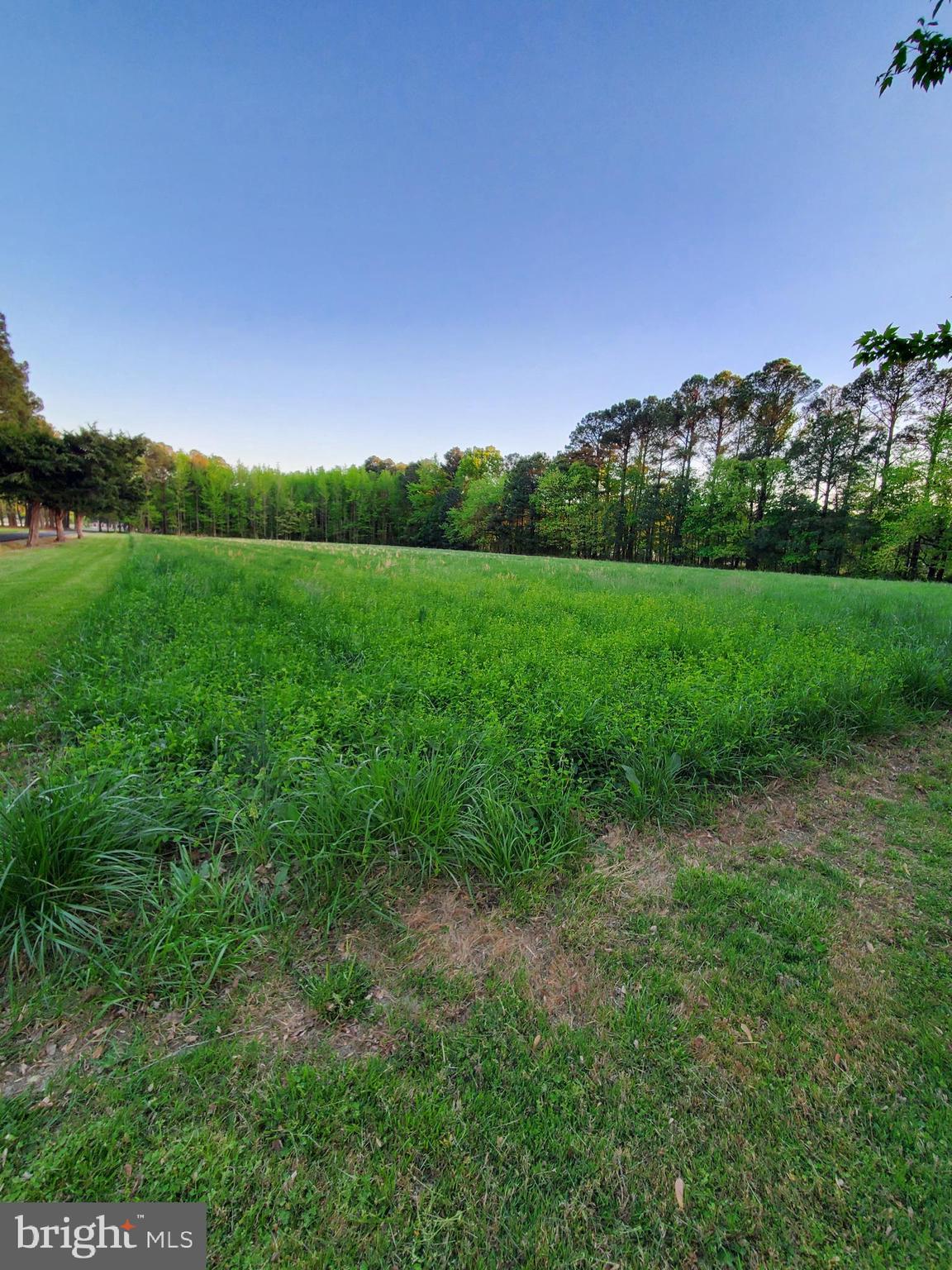 1013 Hudson Road Cambridge, MD 21613 - Photo 11 of 45 Perfect for gardening, outbuildings/shops, pool...