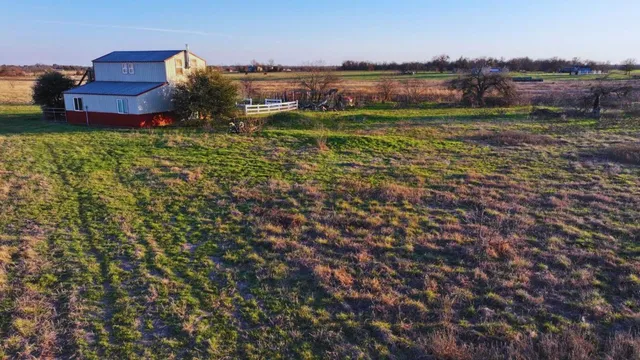 a view of a yard with plants