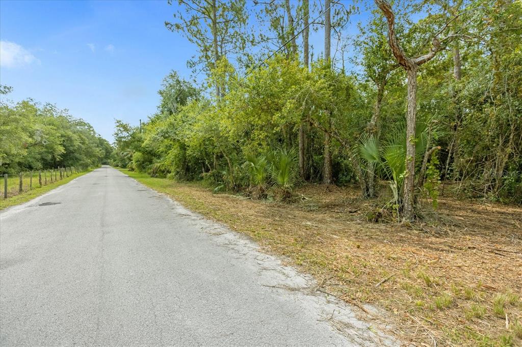 Mar Lisa Cove Road Lake Wales, FL 33898 - Photo 3 of 20